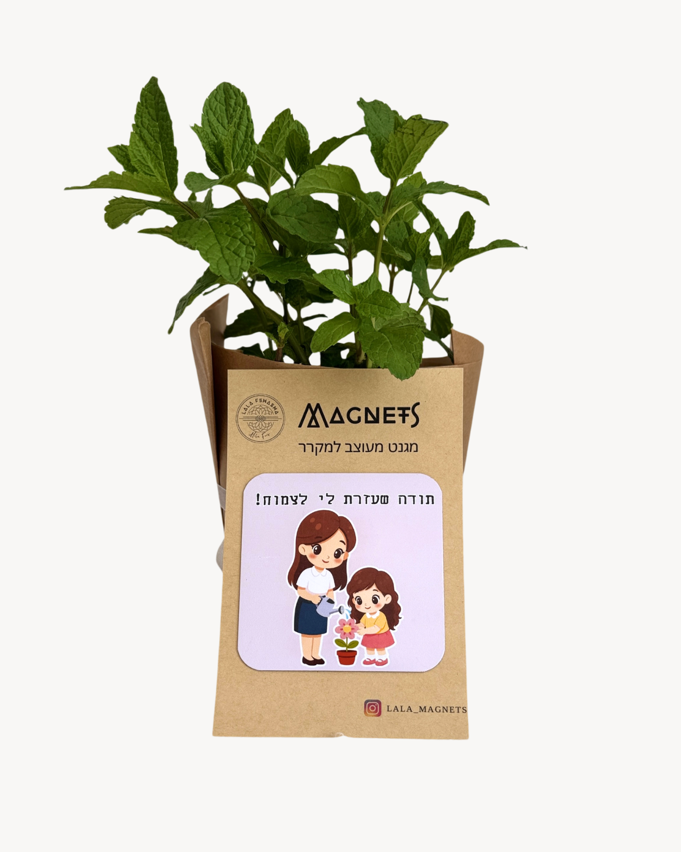 מארז מתנה ירוק למורה ולגננת הכולל עציץ חי ומגנט מעוצב עם איור מתוק והקדשת תודה מרגשת לסוף השנה על גבי כרטיס קרטון מעוצב. ילדה, נענע.