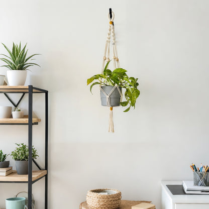 plant rack